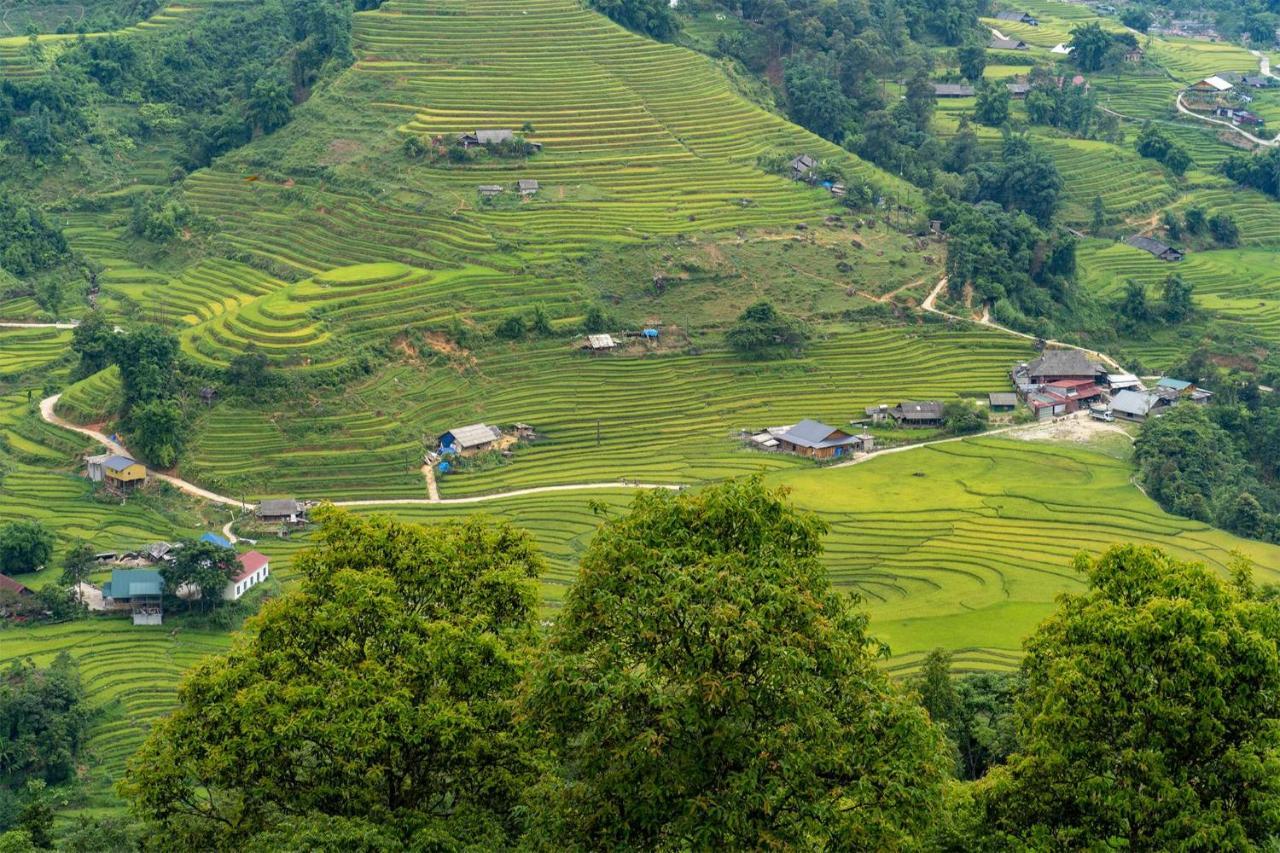 Sapa Fantasea Homestay Zewnętrze zdjęcie